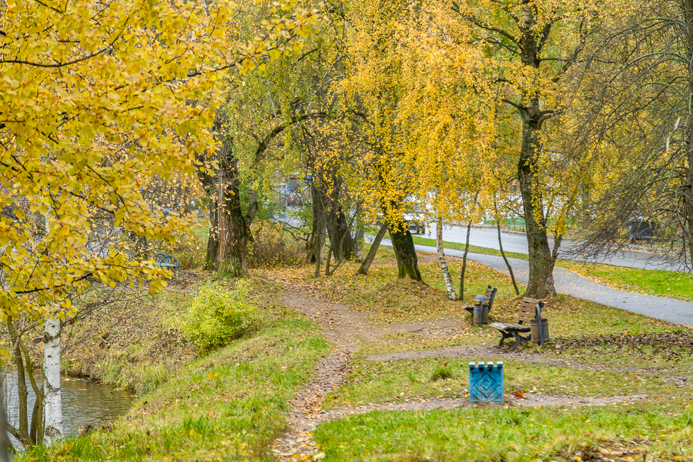 Комсомольский пруд в Одинцово после реконструкции