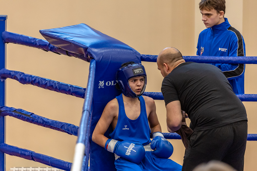 Соревнования по боксу памяти тренеров Одинцовского округа