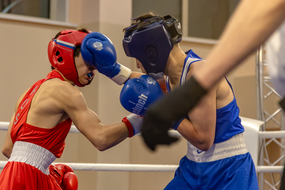 Соревнования по боксу памяти тренеров Одинцовского округа