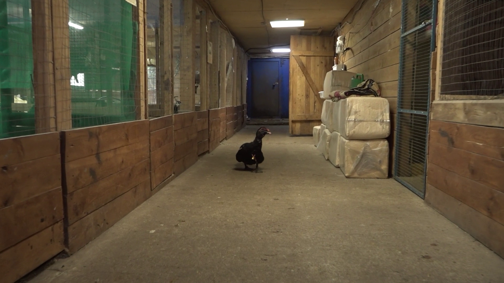 Ковчег в Назарьево