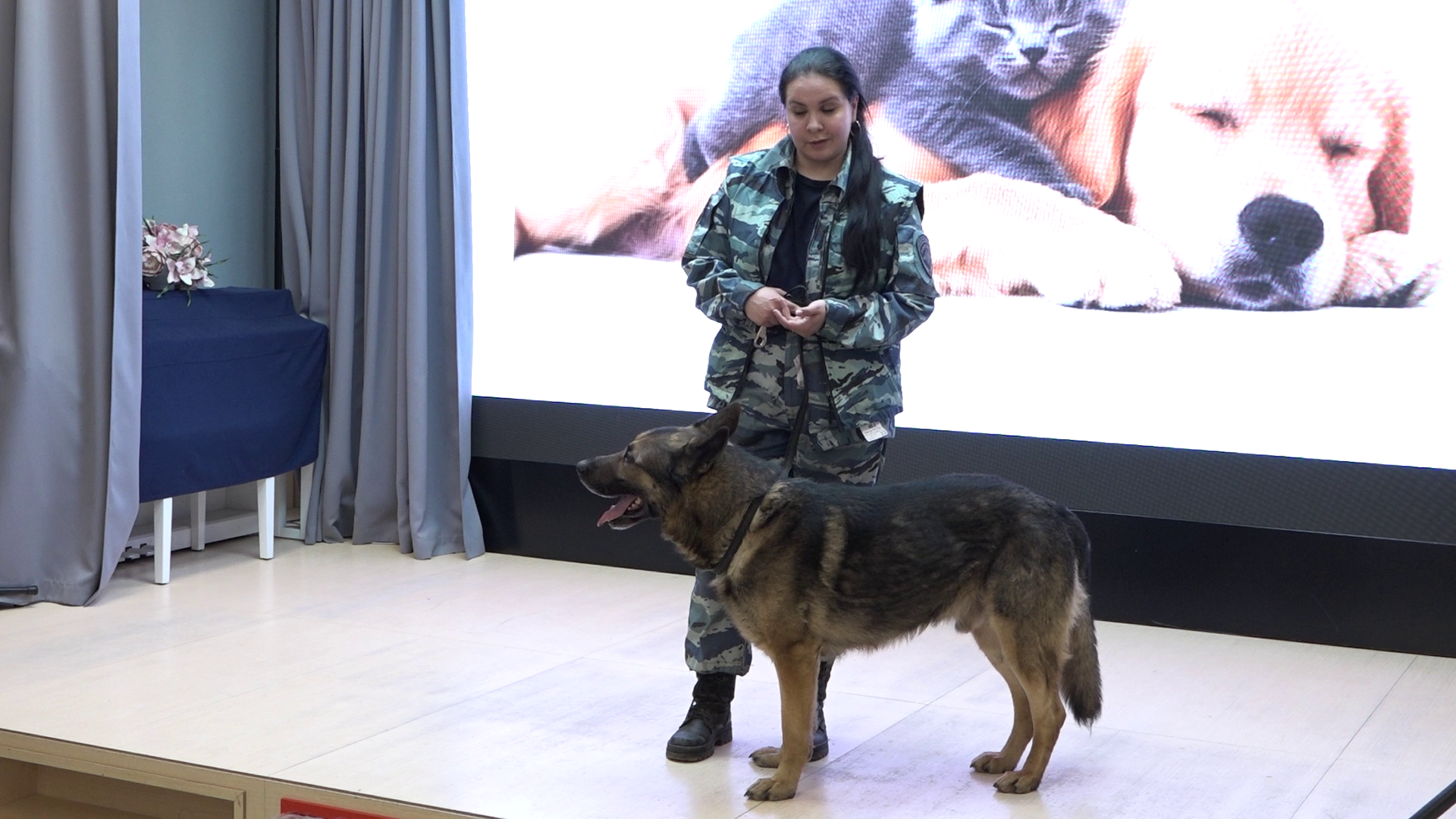 Когда собака больше чем друг