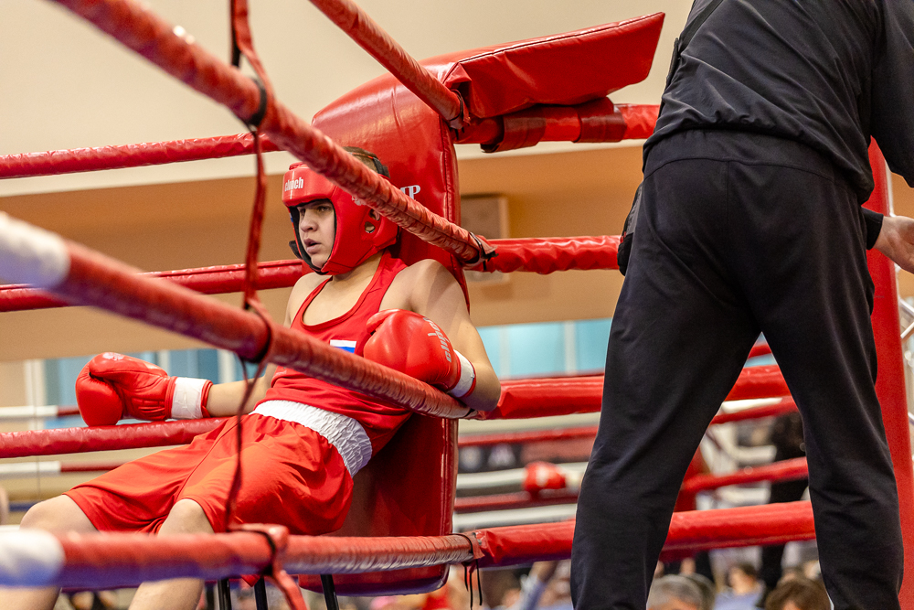 Соревнования по боксу памяти тренеров Одинцовского округа