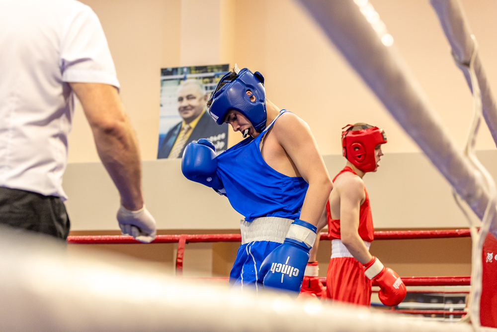 Соревнования по боксу памяти тренеров Одинцовского округа