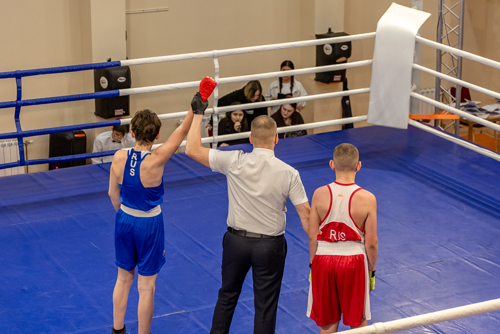 Соревнования по боксу памяти тренеров Одинцовского округа