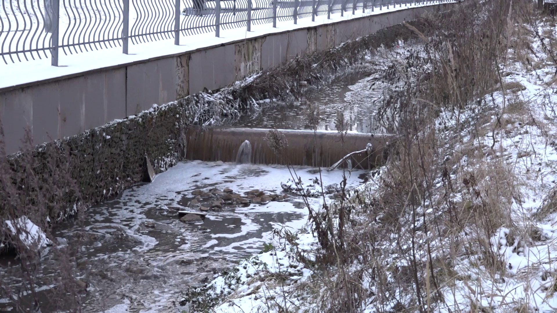 Экологическая ситуация на Саминке
