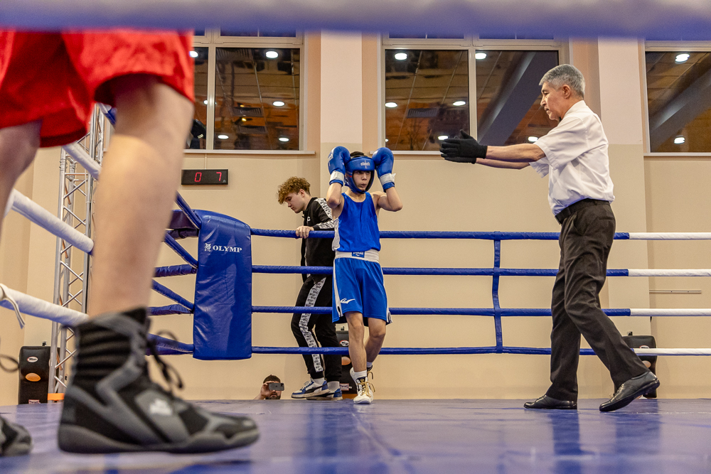 Соревнования по боксу памяти тренеров Одинцовского округа