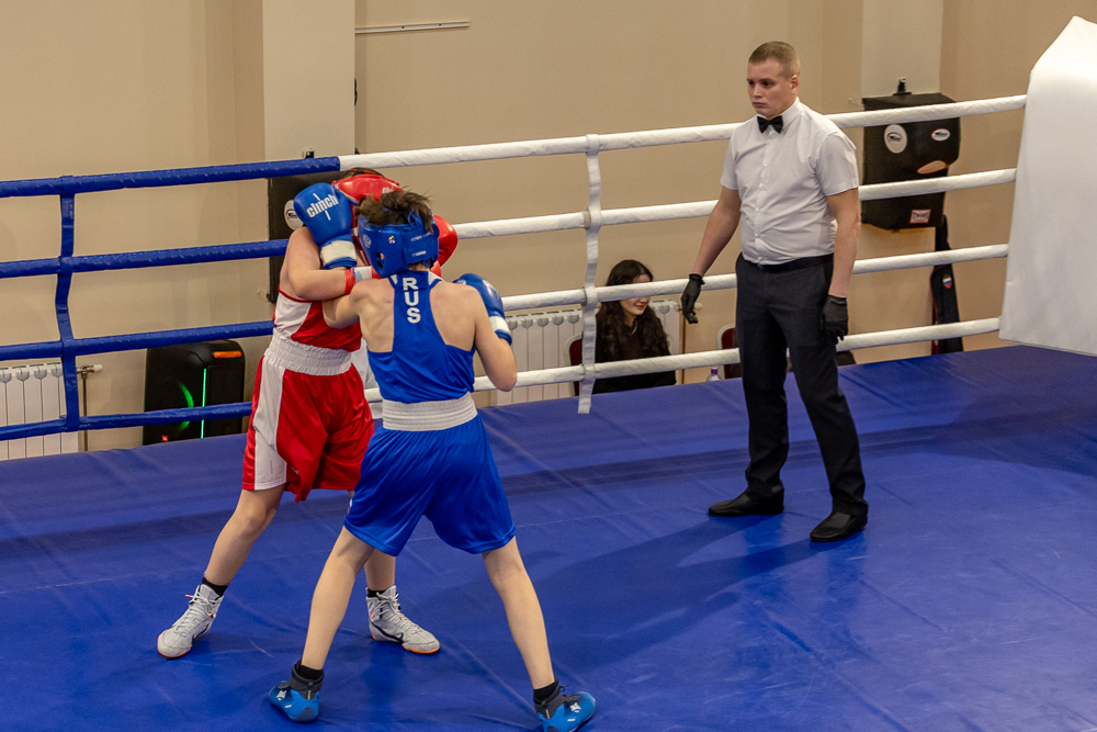 Соревнования по боксу памяти тренеров Одинцовского округа