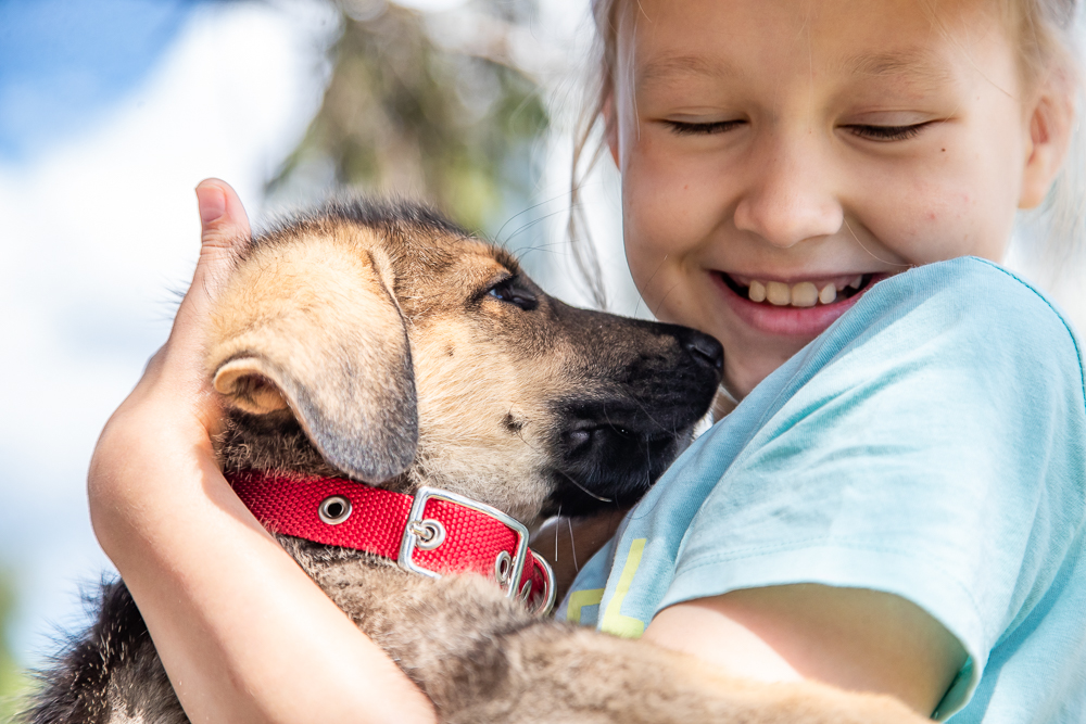 Всемирный день защиты животных отметят в Одинцово 12 октября