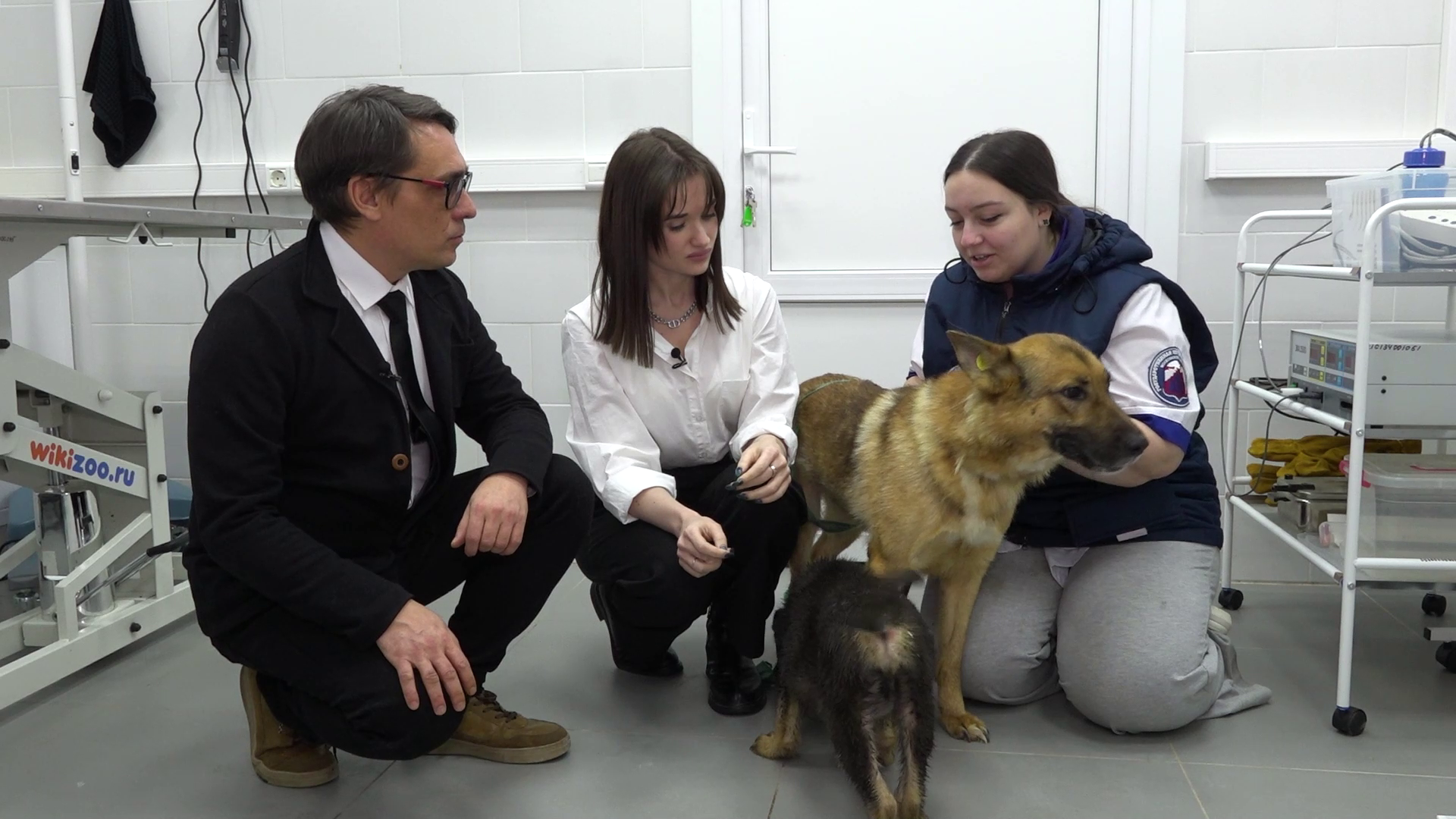 Отловить, чтобы вернуть обратно