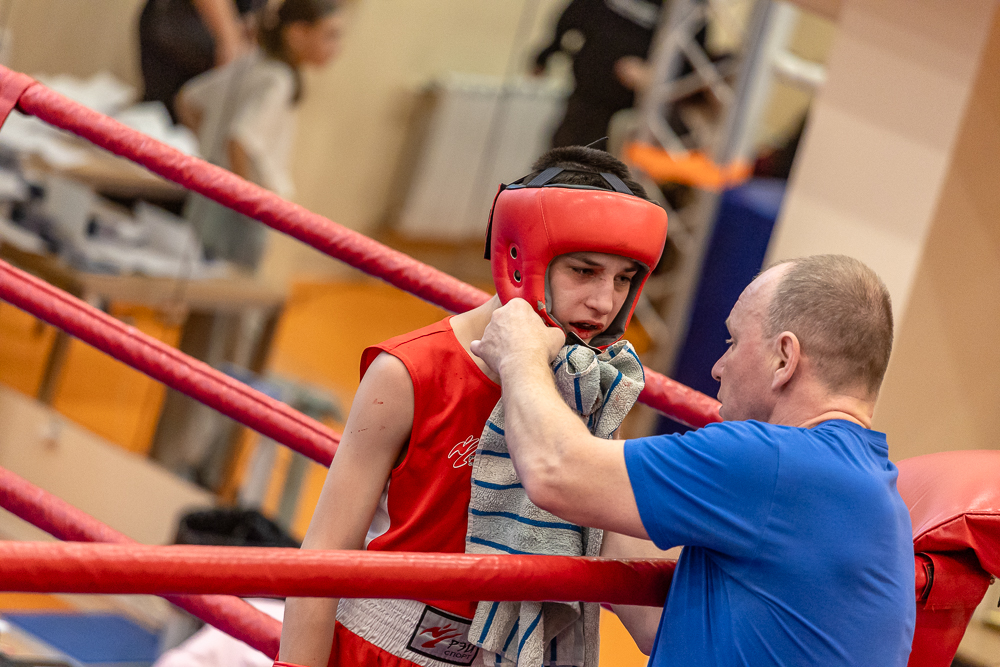 Соревнования по боксу памяти тренеров Одинцовского округа