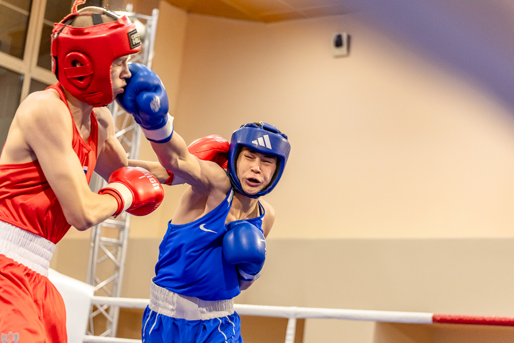 Соревнования по боксу памяти тренеров Одинцовского округа