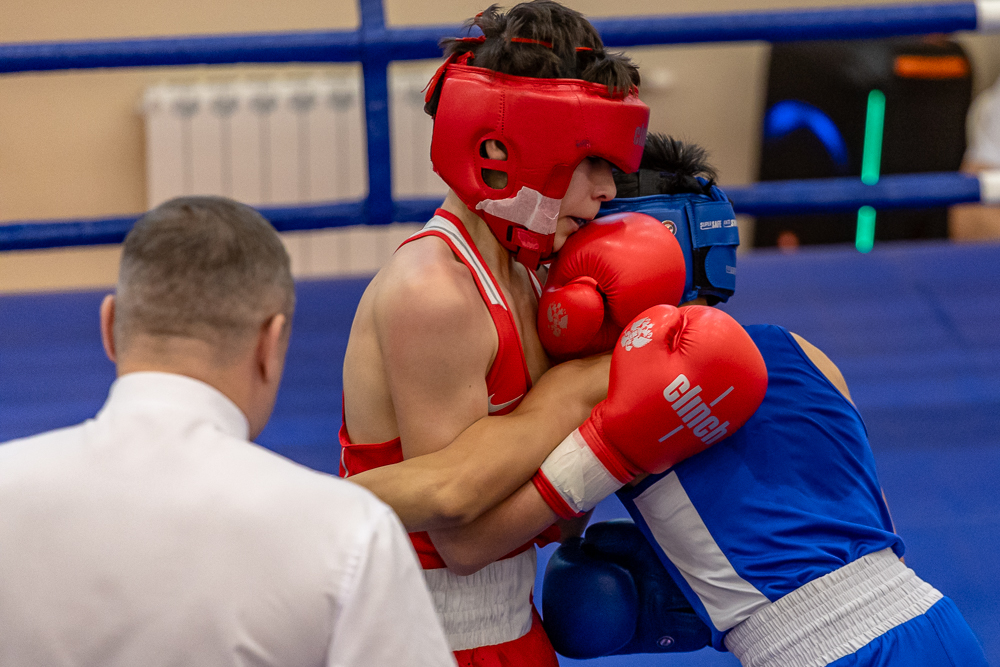 Соревнования по боксу памяти тренеров Одинцовского округа