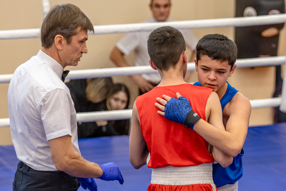 Соревнования по боксу памяти тренеров Одинцовского округа