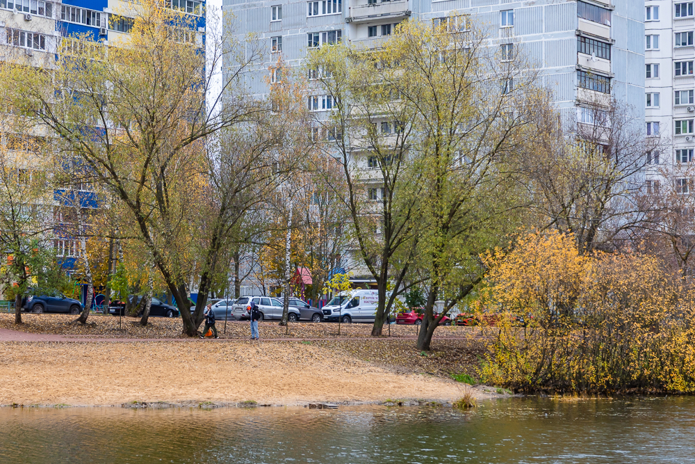 Комсомольский пруд в Одинцово после реконструкции