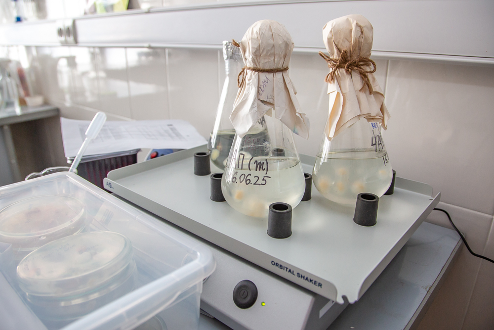 Федеральный научный центр овощеводства отмечает 105-летие