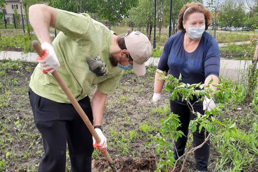 Белая сирень – символ чистоты, а неравнодушие – залог чистоты родного города