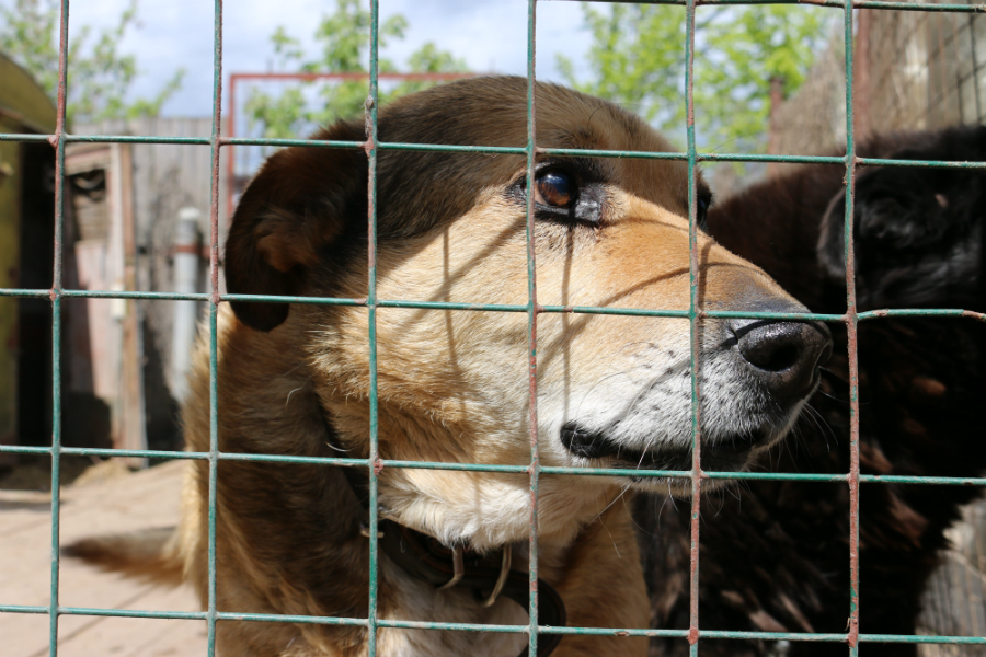 Найти друга во время изоляции