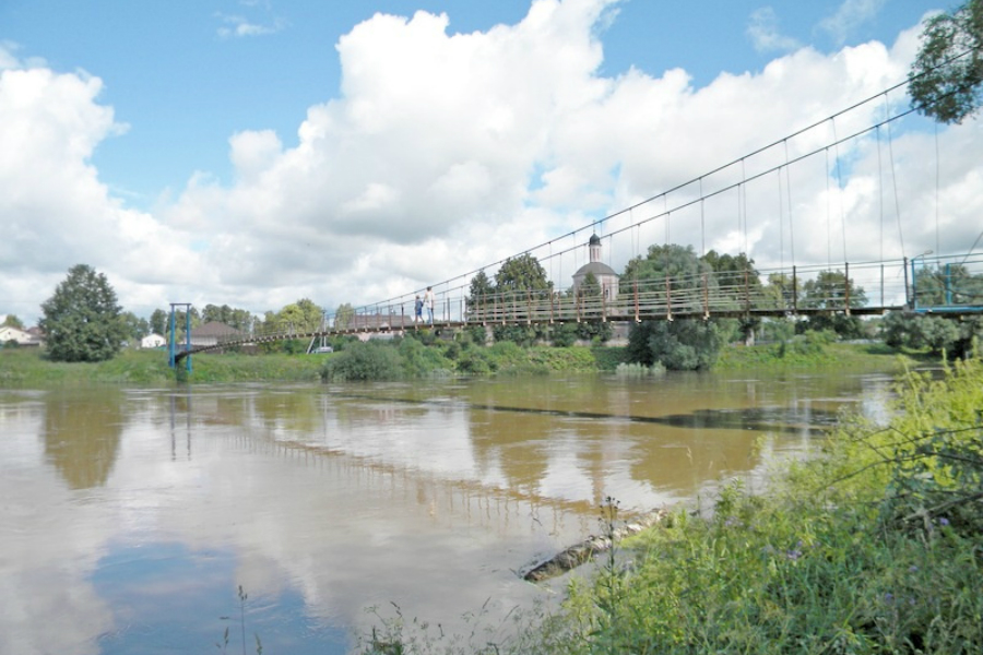 Видинеев мост: берега прошлого и настоящего