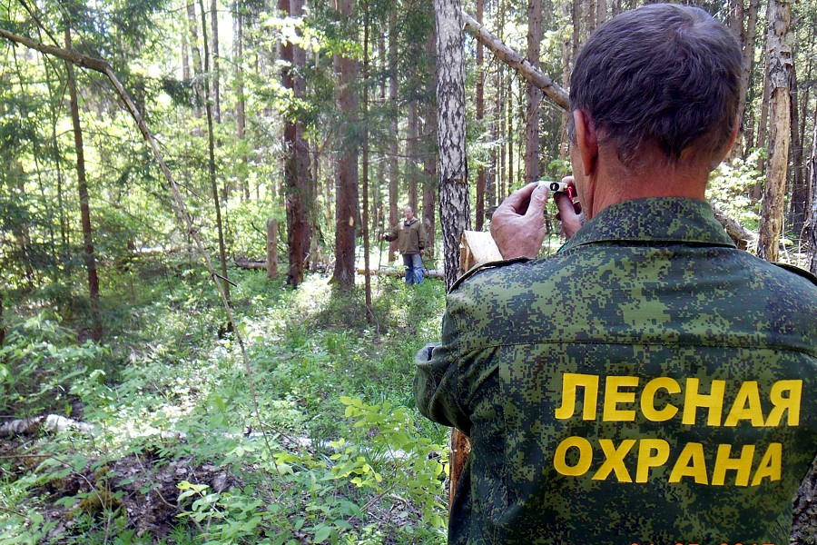 Лесная охрана подвела итоги сезона