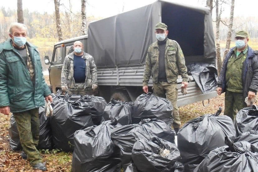 Операция «Ёлочка»