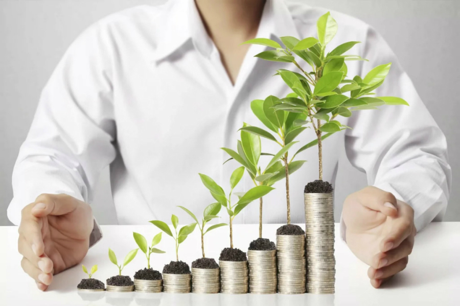 Новую меру поддержки бизнеса запустят в регионе в 2021 году