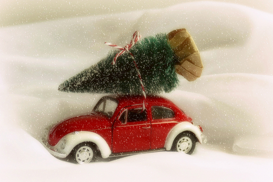 Как правильно провезти ёлку в общественном транспорте