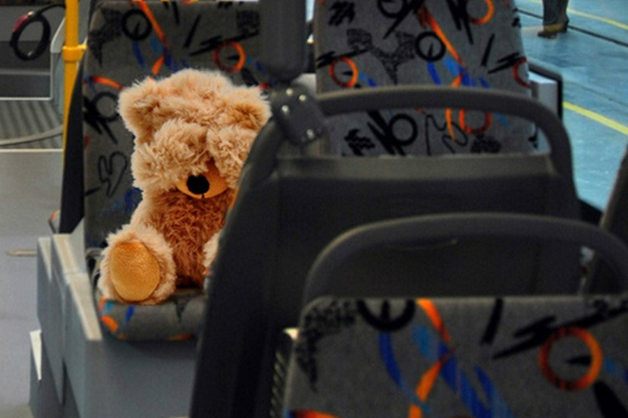 Живая сосна и перчатки: что забывают пассажиры автобусов