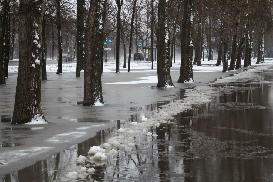 Оттепель ожидается в Московском регионе в конце недели