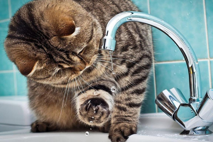 Горячую воду в Одинцовском округе начнут отключать с 1 июня