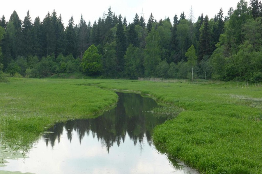 Приток Малой Вязёмки записали в «несуществующие» водные объекты