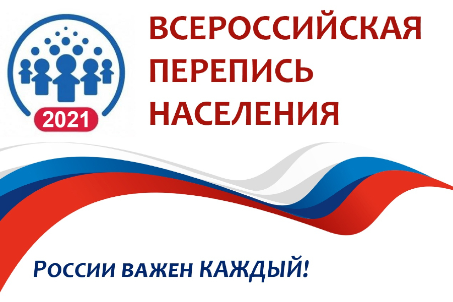 Как принять участие в переписи через Госуслуги?