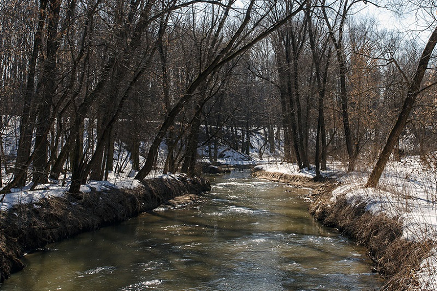 Одинцовский застройщик поплатился за загрязнение реки