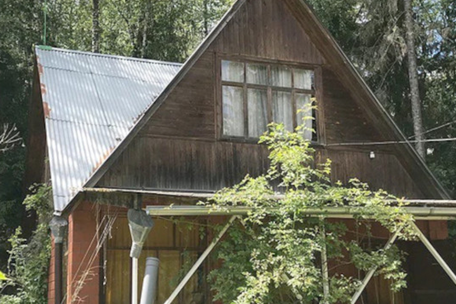 Кто "завёлся" в тихом доме