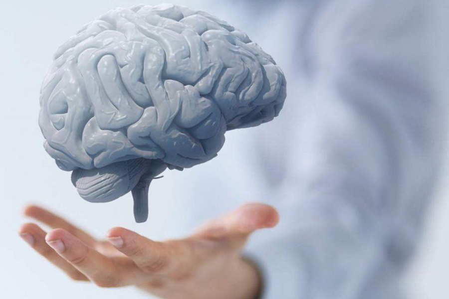 Как развить мозг и сохранить ясность ума