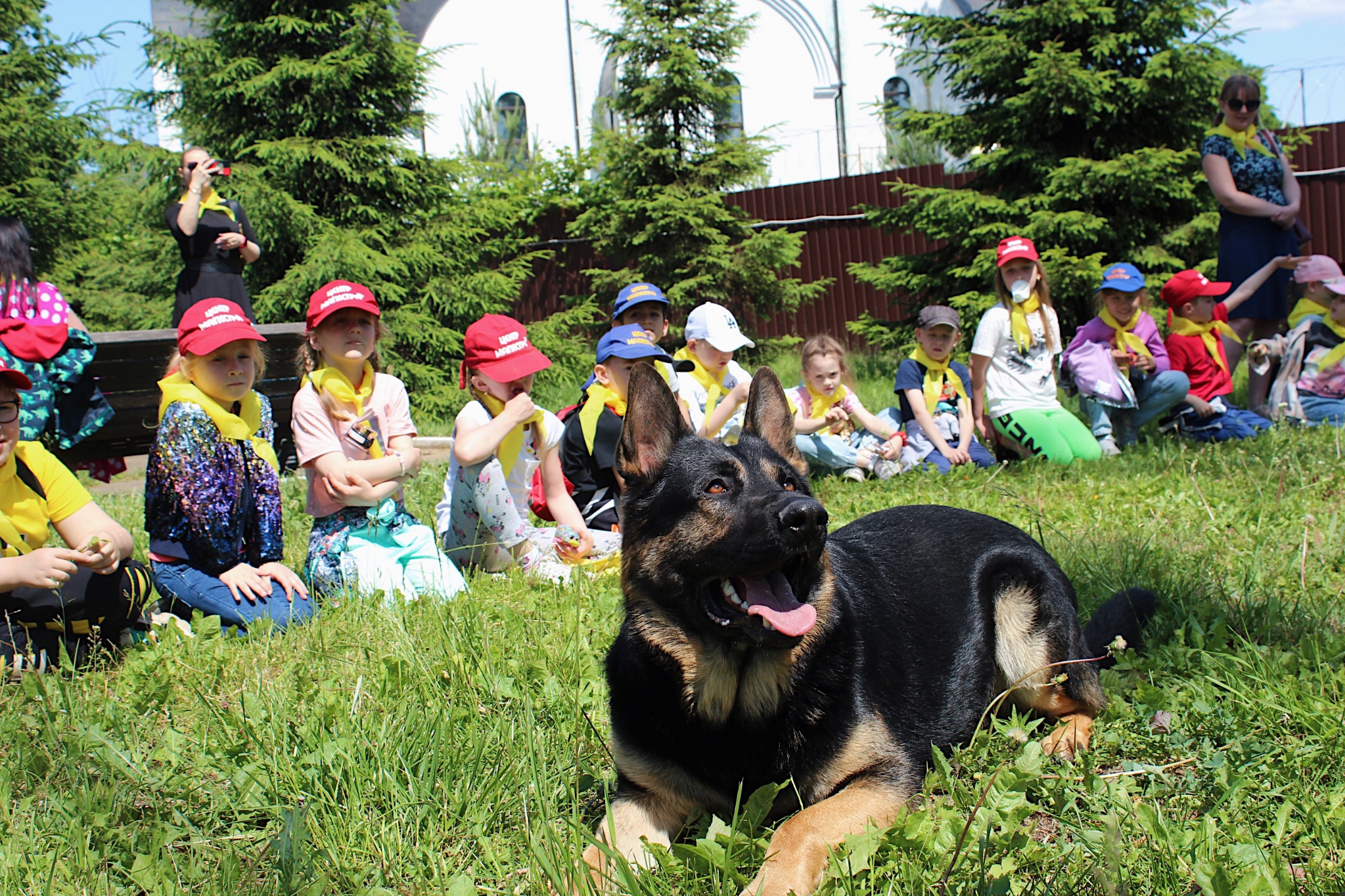 Одинцовские полицейские провели акцию «Моя профессия – кинолог»