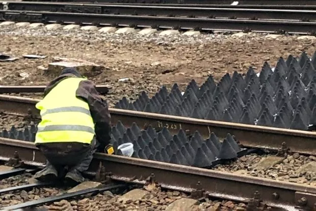 На железной дороге в Подмосковье появились противопешеходные маты