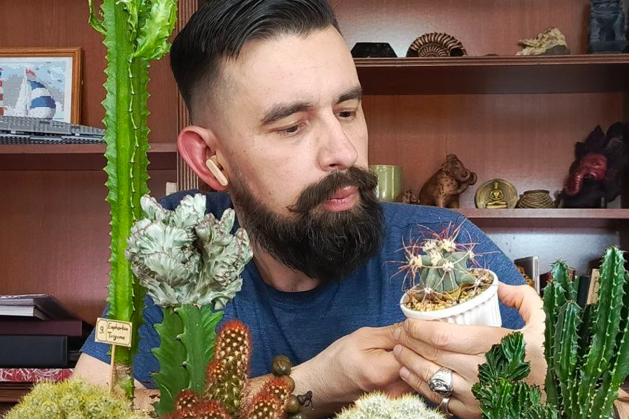 Время собирать начинается в детстве