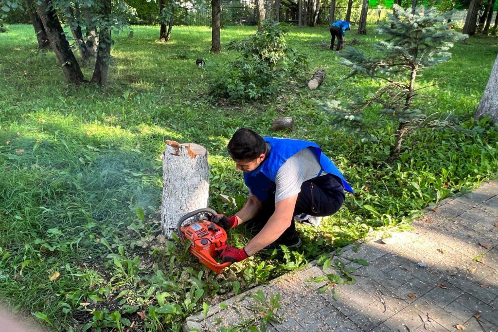 Сквер Жаворонковской школы привели в порядок к учебному году