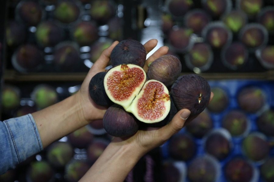 Время собирать инжир