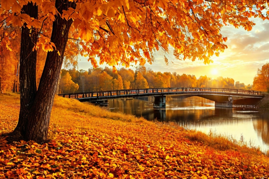 Афиша мероприятий Одинцовского округа с 26 октября по 1 ноября