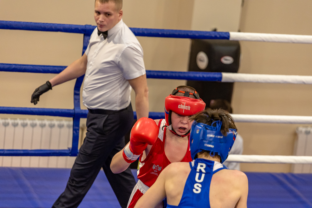 Соревнования по боксу памяти тренеров Одинцовского округа