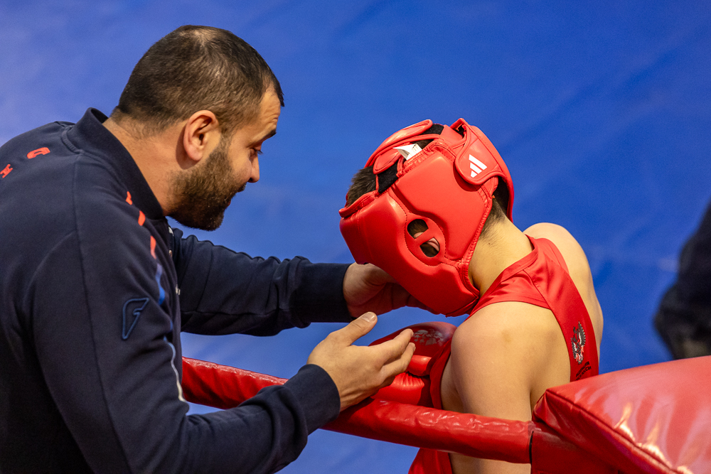 Соревнования по боксу памяти тренеров Одинцовского округа