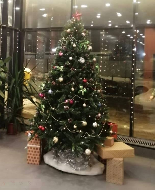 Похититель Рождества украл ёлку в Одинцово-1