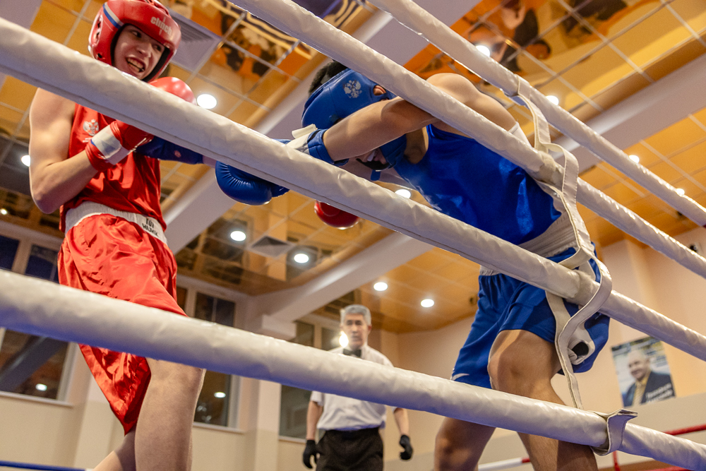 Соревнования по боксу памяти тренеров Одинцовского округа