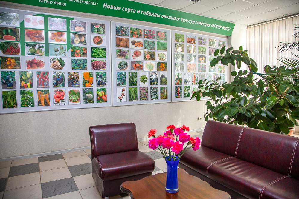 Федеральный научный центр овощеводства отмечает 105-летие
