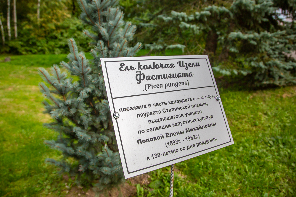 Федеральный научный центр овощеводства отмечает 105-летие