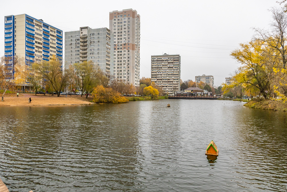Комсомольский пруд в Одинцово после реконструкции