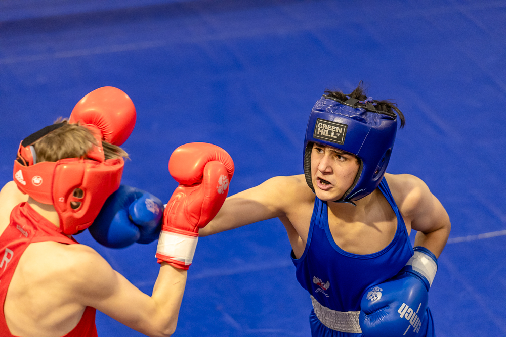 Соревнования по боксу памяти тренеров Одинцовского округа