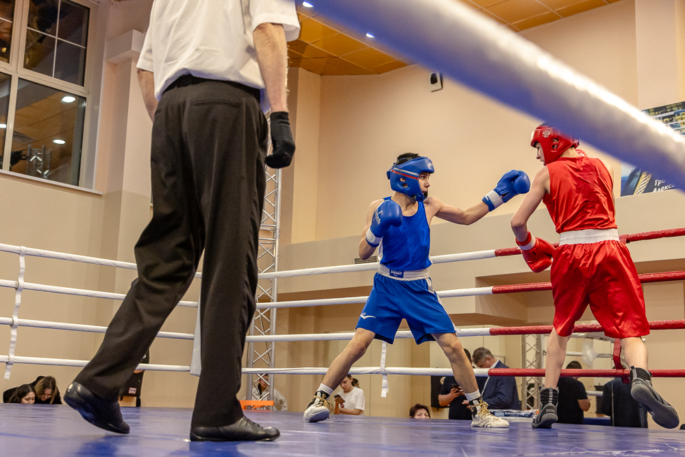 Соревнования по боксу памяти тренеров Одинцовского округа