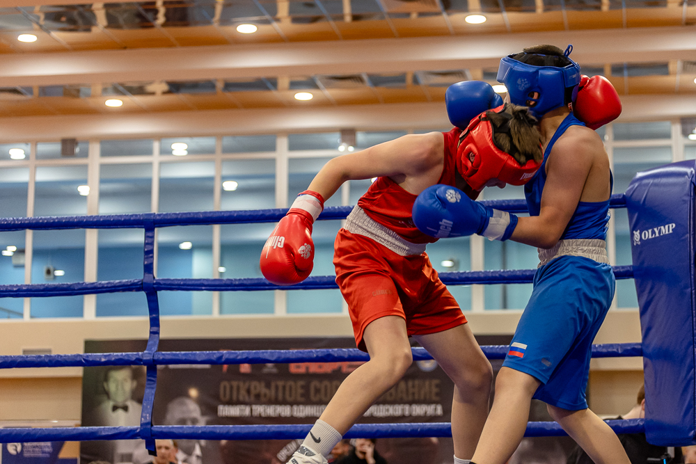 Соревнования по боксу памяти тренеров Одинцовского округа